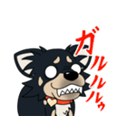 ロングコートチワワあやめちゃん！（個別スタンプ：33）