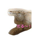 可愛いネコちゃん（個別スタンプ：11）
