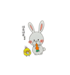 うさこのにちじょう Part3 たまーにピヨ子（個別スタンプ：6）