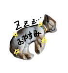 宮川あんちゃん（個別スタンプ：2）