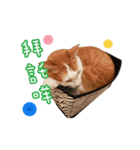 Henry life（個別スタンプ：5）