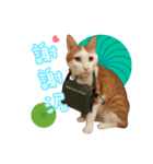 Henry life（個別スタンプ：6）
