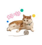 Henry life（個別スタンプ：8）