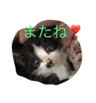 ぬぬも（個別スタンプ：2）