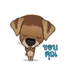 Saap Dog Thai version.（個別スタンプ：2）