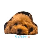 ココビビ（個別スタンプ：1）