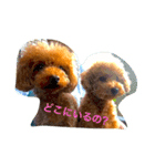 ココビビ（個別スタンプ：2）