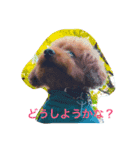 ココビビ（個別スタンプ：8）