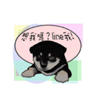 Xiao Chai dog 0329 ~2（個別スタンプ：9）