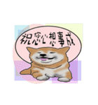 Xiao Chai dog 0329 ~2（個別スタンプ：12）