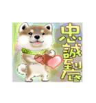 Xiao Chai dog 0329 ~2（個別スタンプ：20）