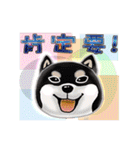 Xiao Chai dog 0329 ~2（個別スタンプ：33）