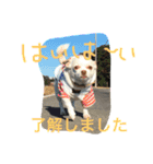ふぅと愉快な仲間たち2（個別スタンプ：2）