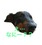 ふぅと愉快な仲間たち2（個別スタンプ：4）
