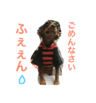ふぅと愉快な仲間たち2（個別スタンプ：7）