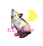 ふぅと愉快な仲間たち2（個別スタンプ：8）
