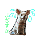 ふぅと愉快な仲間たち2（個別スタンプ：13）