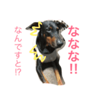 ふぅと愉快な仲間たち2（個別スタンプ：14）