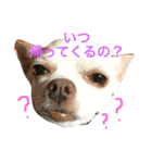 ふぅと愉快な仲間たち2（個別スタンプ：16）