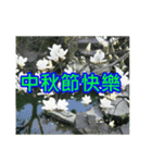 White Flower images（個別スタンプ：22）