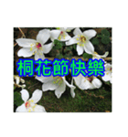White Flower images（個別スタンプ：24）