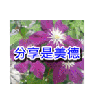 Flower images_2（個別スタンプ：9）