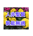 Flower images_2（個別スタンプ：10）