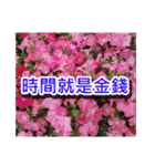 Flower images_2（個別スタンプ：12）