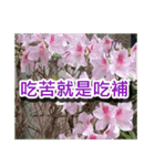 Flower images_2（個別スタンプ：13）
