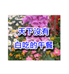 Flower images_2（個別スタンプ：20）