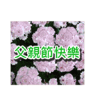 Flower images_2（個別スタンプ：30）