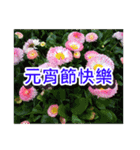 Flower images_2（個別スタンプ：31）