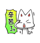 Catbunny- Workplace（個別スタンプ：40）