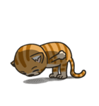 Boots the orange tabby's daily life（個別スタンプ：13）