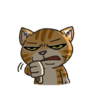Boots the orange tabby's daily life（個別スタンプ：37）