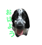 ルーク1（個別スタンプ：9）