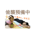 Pin ＆ Jin（個別スタンプ：24）