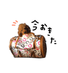 ラム、おこげ.3（個別スタンプ：11）