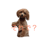 くーちゃんの生活（個別スタンプ：8）