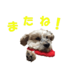 ハッピークッキー！（個別スタンプ：2）