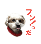 ハッピークッキー！（個別スタンプ：3）