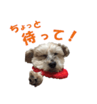 ハッピークッキー！（個別スタンプ：6）