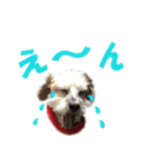 ハッピークッキー！（個別スタンプ：8）