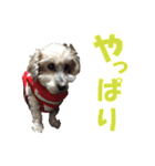 ハッピークッキー！（個別スタンプ：14）