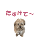 ハッピークッキー！（個別スタンプ：18）