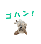 ハッピークッキー！（個別スタンプ：23）