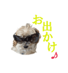 ハッピークッキー！（個別スタンプ：25）
