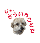 ハッピークッキー！（個別スタンプ：26）
