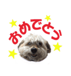 ハッピークッキー！（個別スタンプ：27）