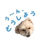 ハッピークッキー！（個別スタンプ：33）